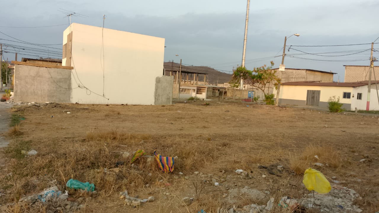 Imagen 2